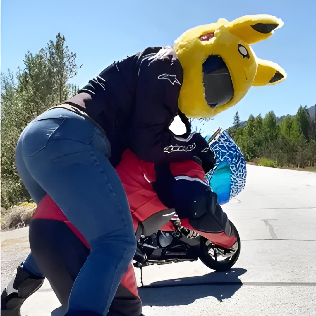 Pika Motorcycle Helmet Cover