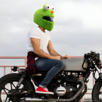 Frog Motorcycle Helmet Cover