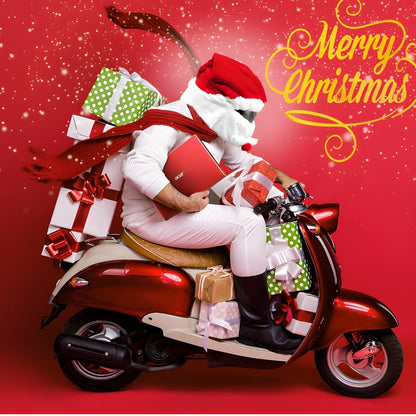 Christmas Motorcycle Helmet Cover